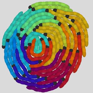 Formation of a vortex