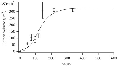 Size Regulation 2