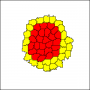 example-cellsorting2d.png